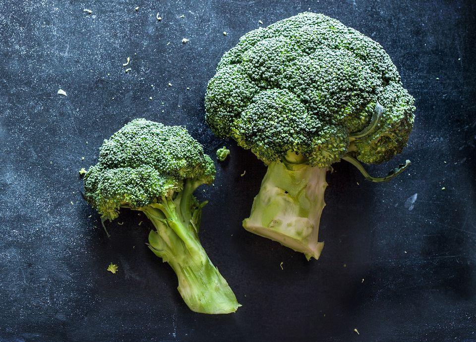 Two fresh green broccoli florets on a dark, textured blue surface with small crumbs.