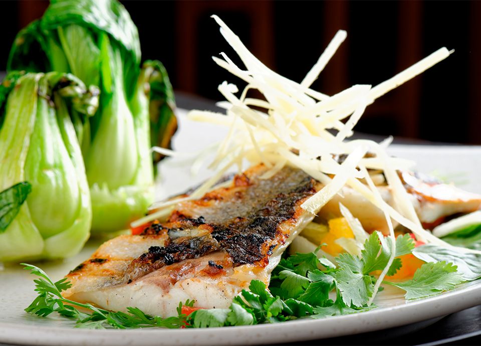 Crispy-skinned sea bass fillet served with steamed bok choy, fresh cilantro, and julienned ginger on a white plate.