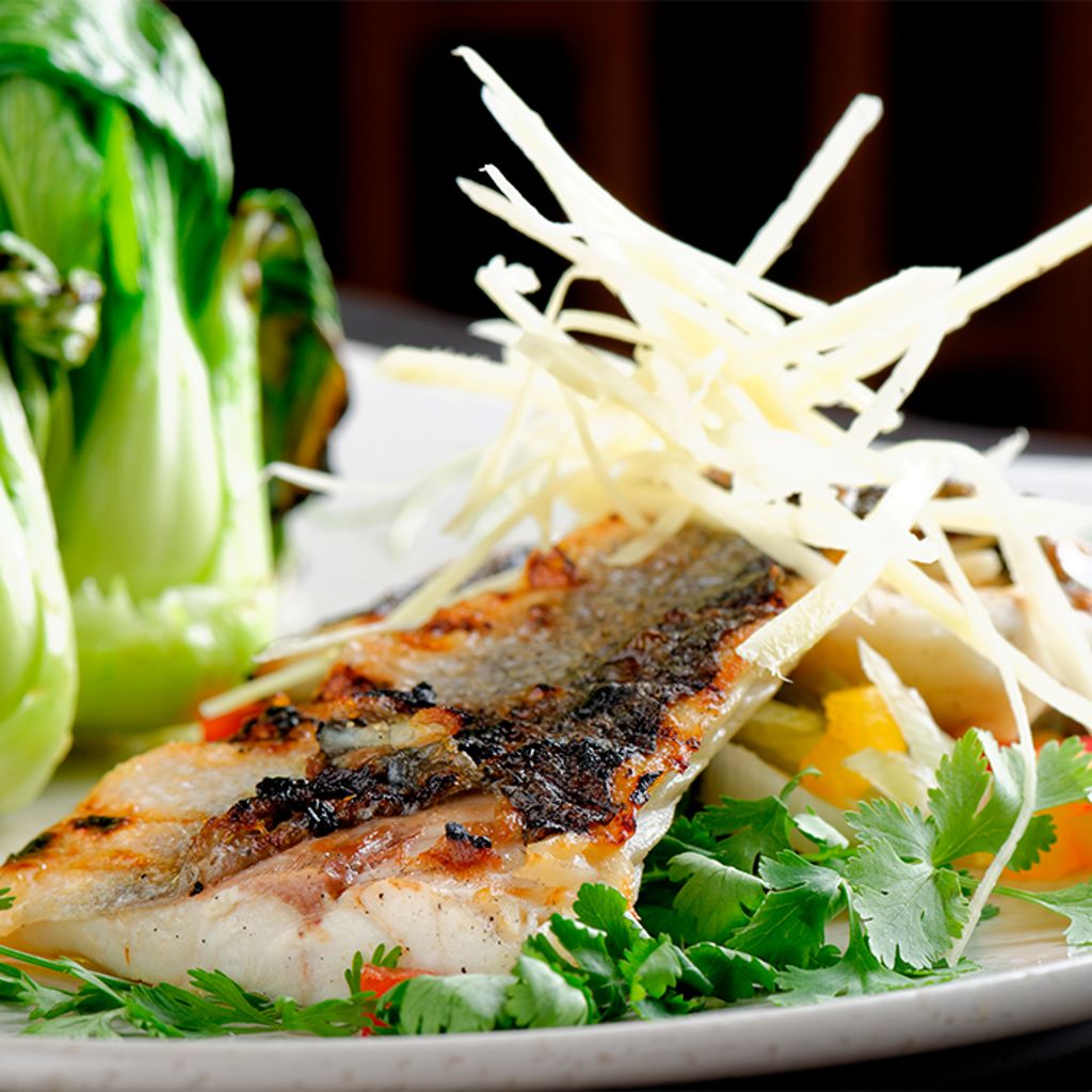 Crispy-skinned sea bass fillet served with steamed bok choy, fresh cilantro, and julienned ginger on a white plate.